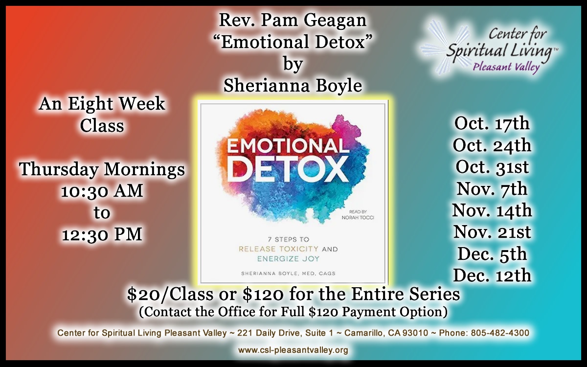 Rev. Pam Geagan Emotional Detox Class